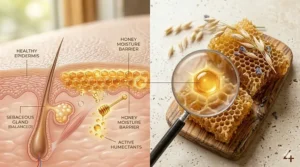 Diagram illustrating how raw honey acts as a humectant to hydrate skin while treating acne.